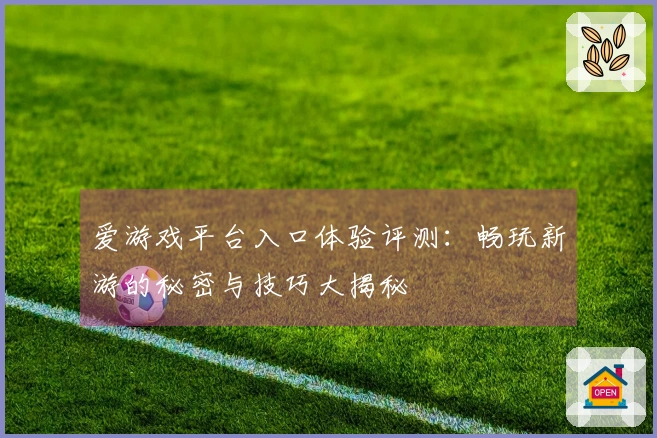 爱游戏平台入口体验评测：畅玩新游的秘密与技巧大揭秘