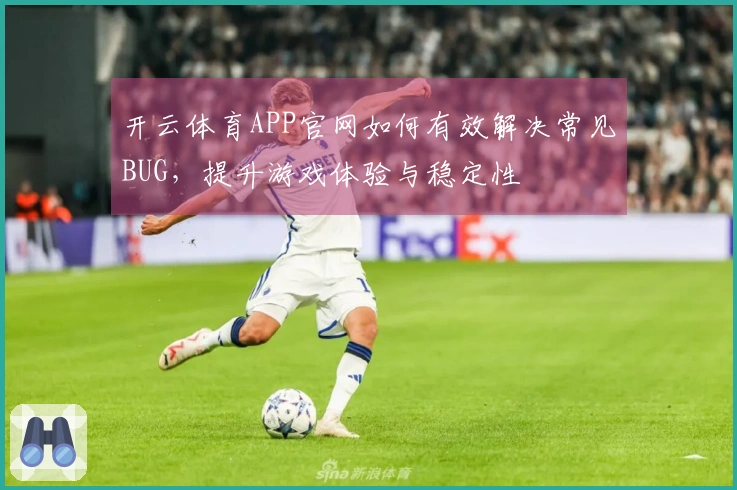 开云体育APP官网如何有效解决常见BUG，提升游戏体验与稳定性